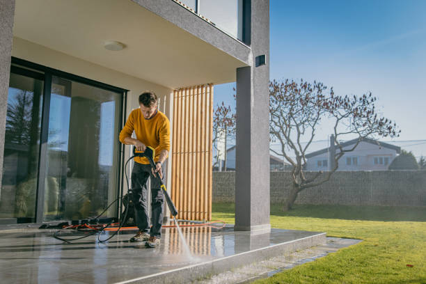 Best Solar Panel Cleaning  in Venus, TX