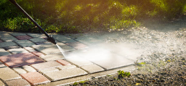 Solar Panel Cleaning in Venus, TX